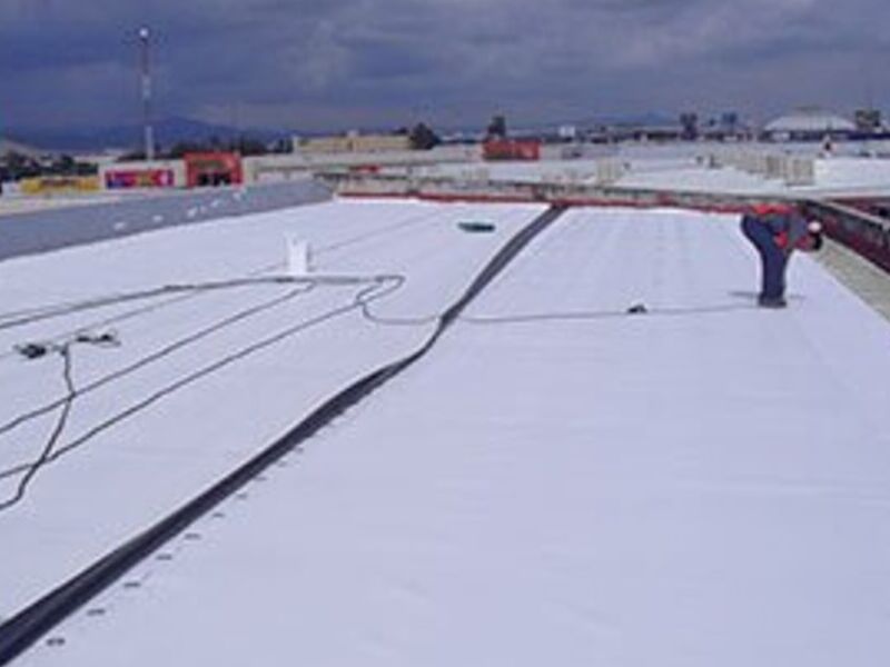 Sistema TPO jalisco mexico