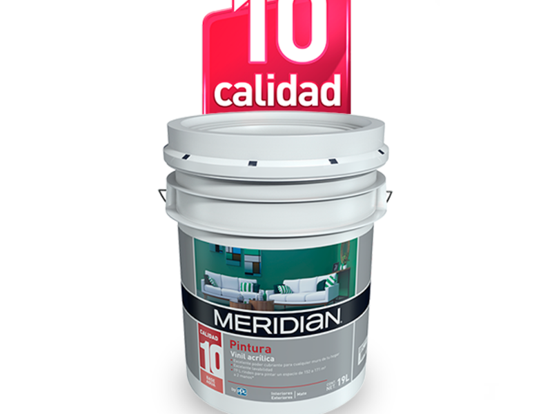 Pintura Vinílica Calidad Premier Guadalajara