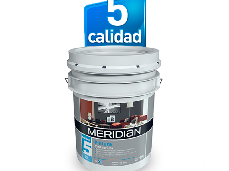 Pintura Vinílica Calidad Plus Guadalajara