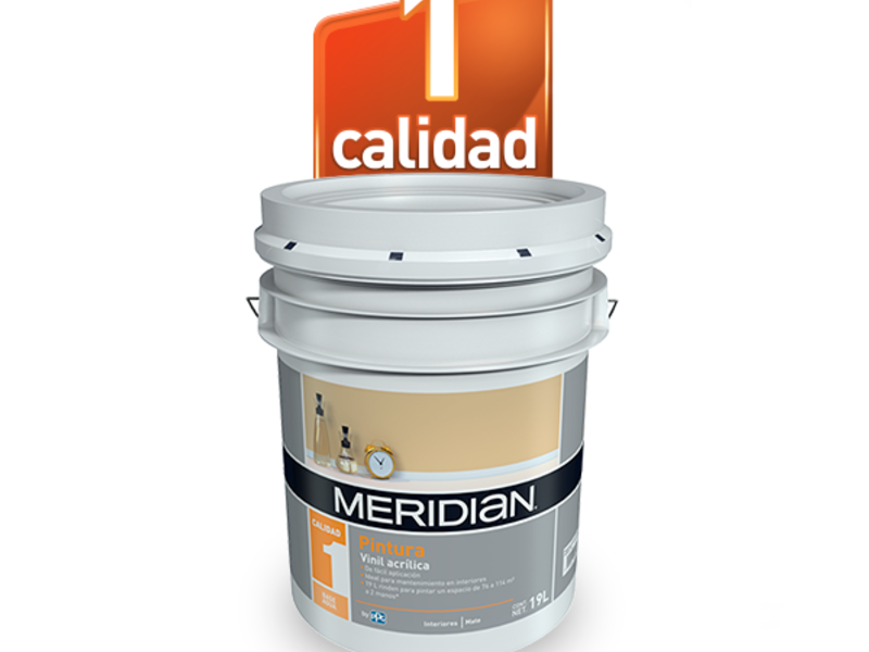 Pintura Vinílica Calidad Estándar Jalisco