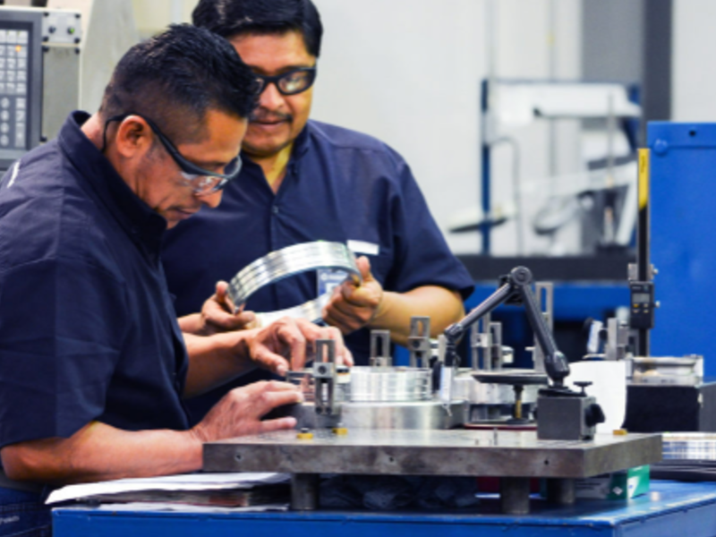Servicio de inspección Yucatán