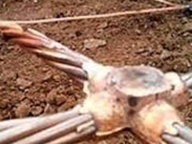 Sistemas de Tierras Físicas en Puebla México