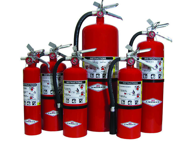 Extintor Quimico seco ABC AMEREX Mexico