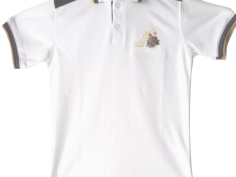 Camiseta Polo Personalizada en Guadalajara
