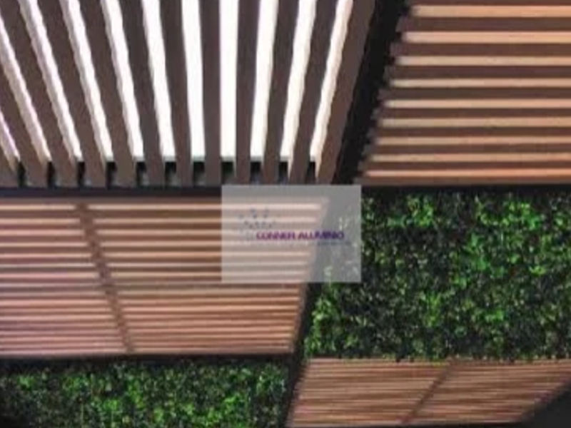 PÉRGOLA DE MADERA CDMX 