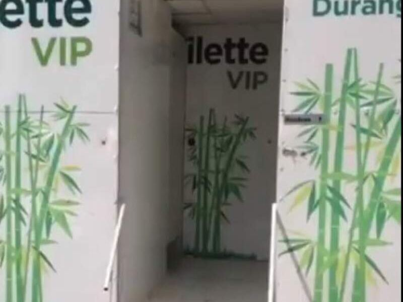 Baño Portátil Toilette VIP en Mezquital