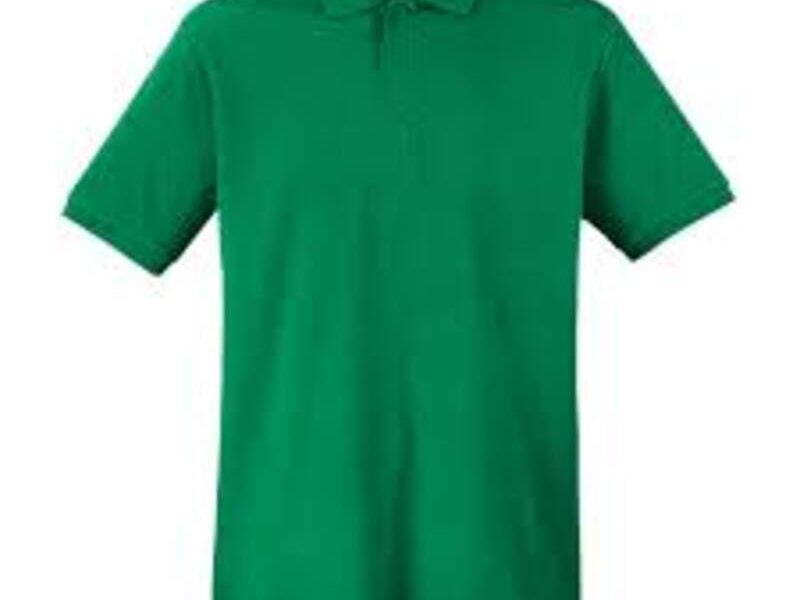 Camiseta tipo polo en Nuevo León