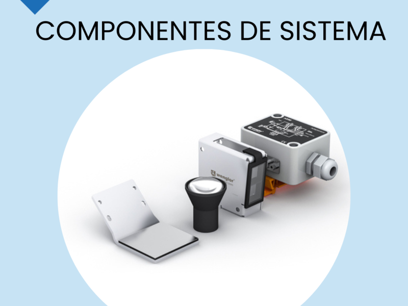 COMPONENTES DEL SISTEMA EN CDMX