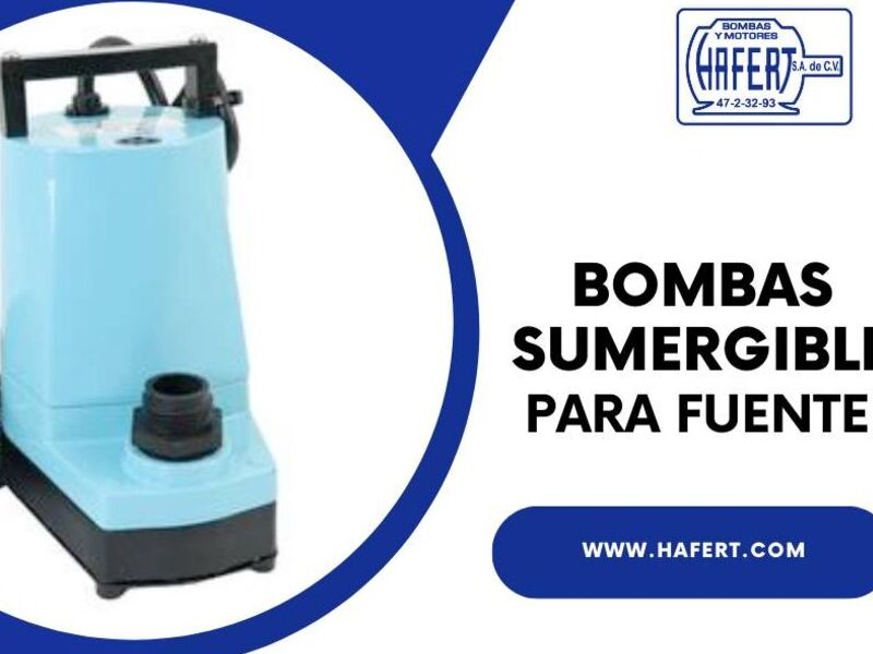 Bomba sumergible para fuente en Guerrero