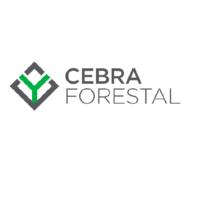 Cebra Forestal