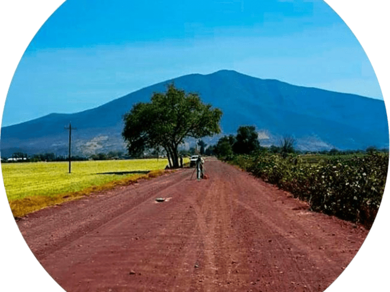 Planeación procedimientos constructivos CDMX 