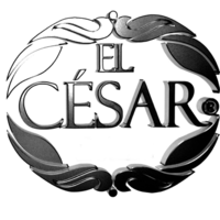 El Cesar diseño en acabados y Decoracion