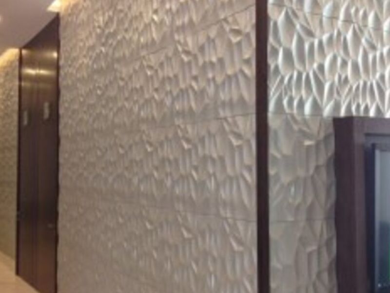 Panel 3d voral 