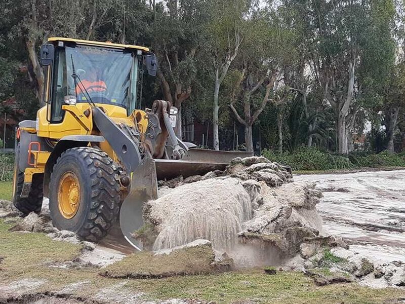 Limpieza de terrenos Ciudad Obregón