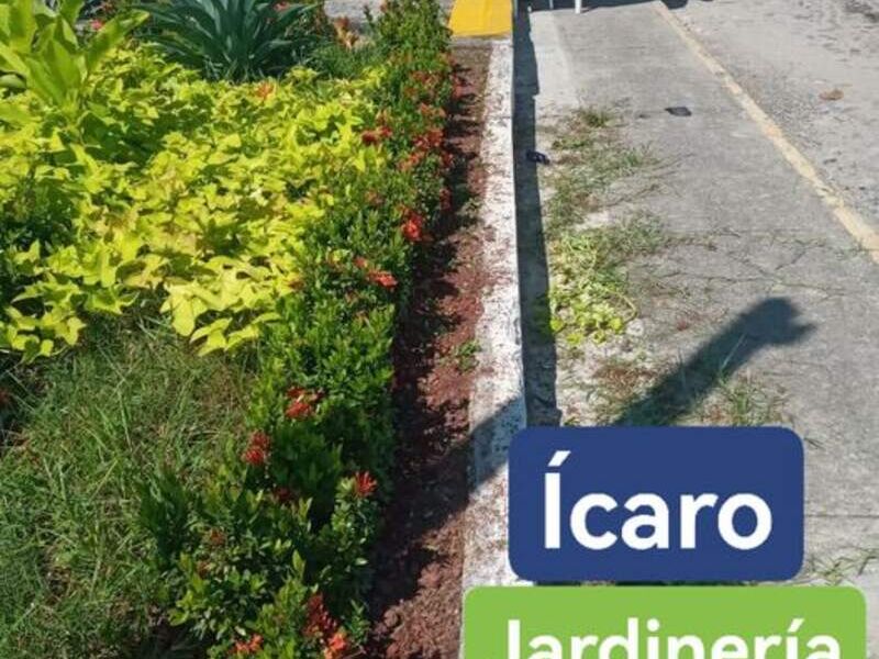 servicios de jardinería