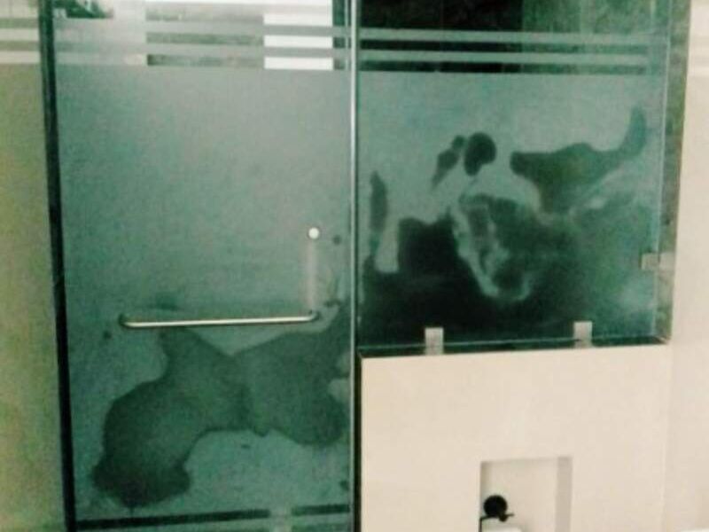 Puerta batiente para baño GUECSA en Apocada