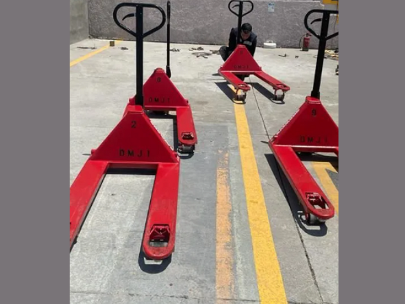 PATÍN PARA CARGA EN HIDALGO 