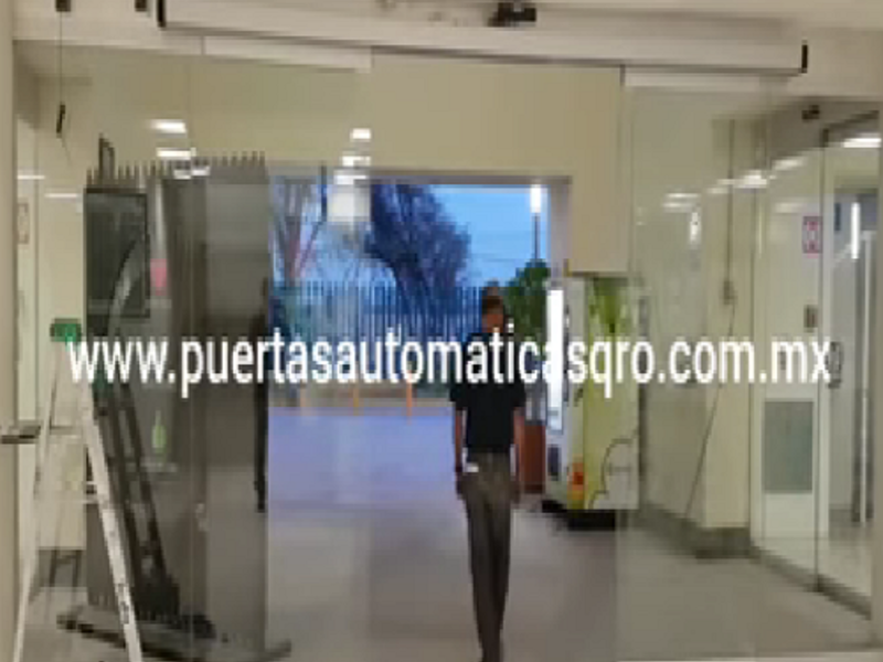 Plegadiza Querétaro