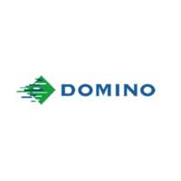 Domino