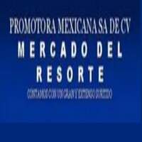 PROMOTORA MEXICANA
