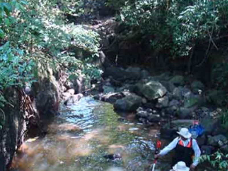 Estudios topohidráulicos Guadalajara