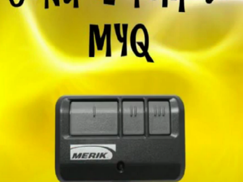 Control Merik Multifrecuencia 893 Cuernavaca