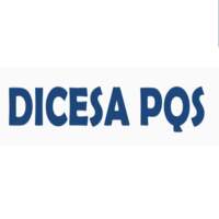 DICESA PQS SA DE CV