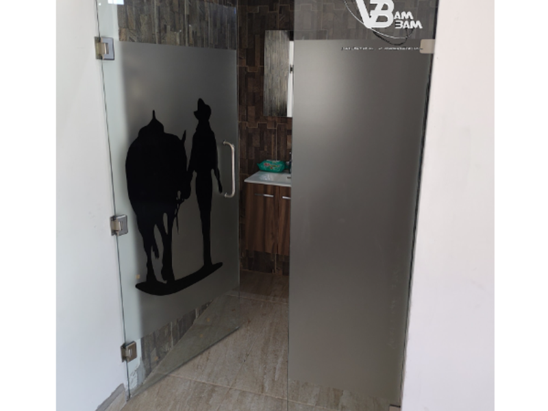 PUERTA PARA BAÑO 10MM EN GUANAJUATO