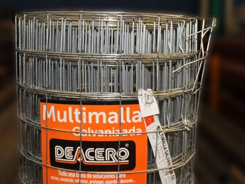 Multimalla en Aguascalientes