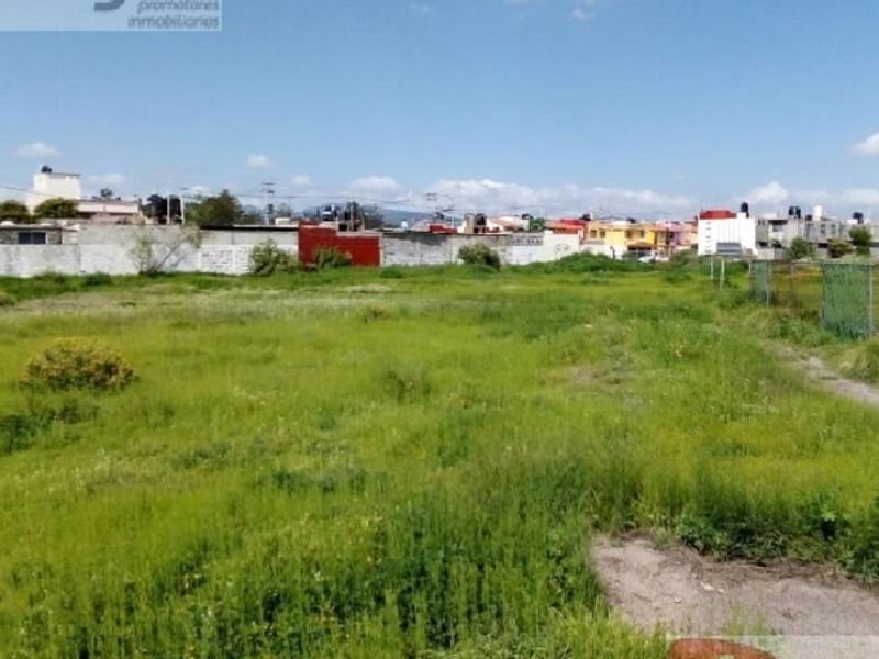 TERRENO EN VENTA EN PUEBLO MINERAL REFORM.