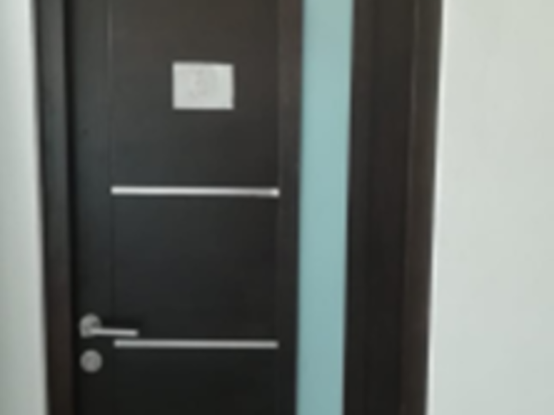 Puerta Forro Madera