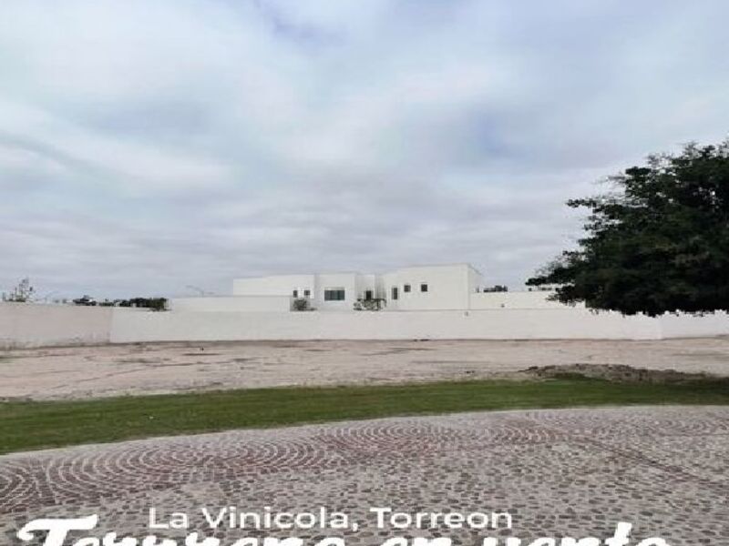 TERRENO EN VENTA EN LA VINICOLA, TORREON.