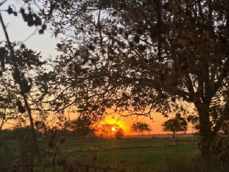 TERRENO EN VENTA EN EJIDO RANCHO, COAHUILA