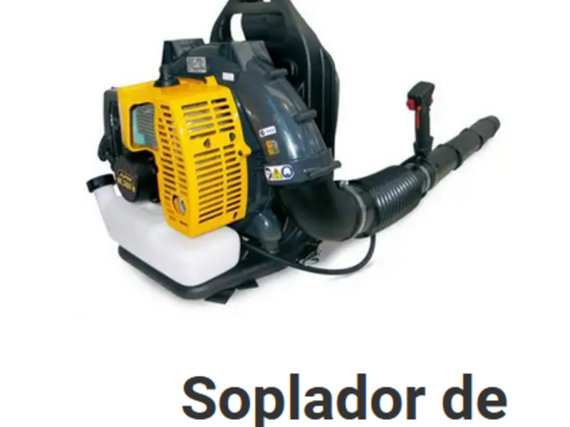 Soplador de Gasolina