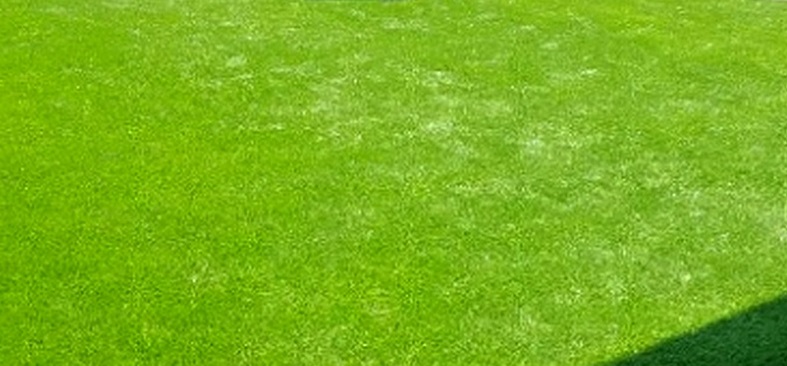 Alfombras Mexico 