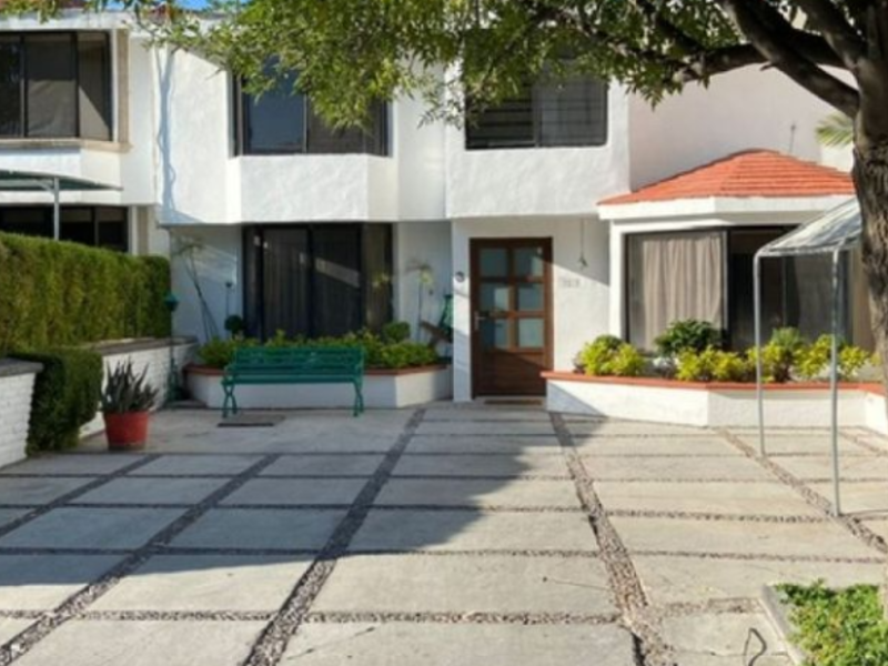 CASA PULGAS PANDAS