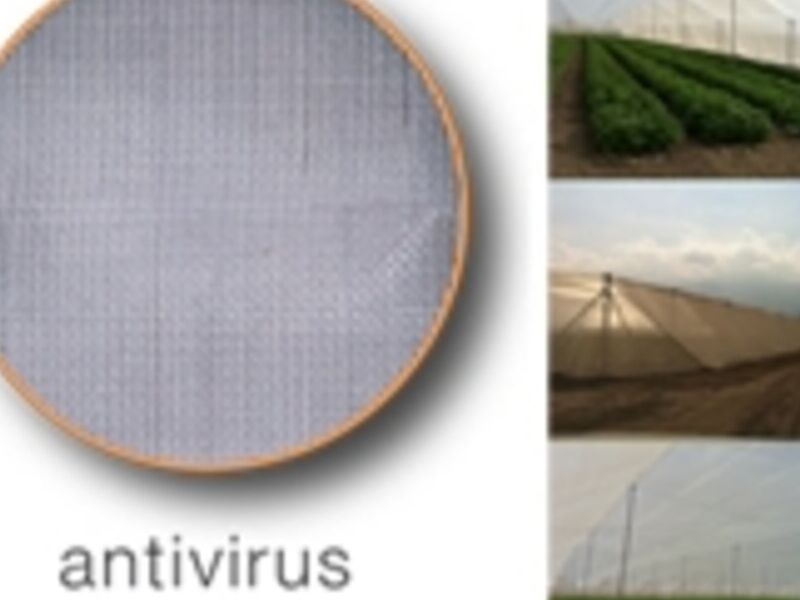 Malla Antivirus