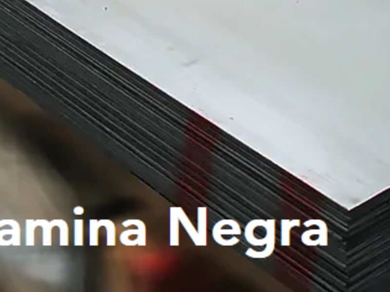 Lamina negra