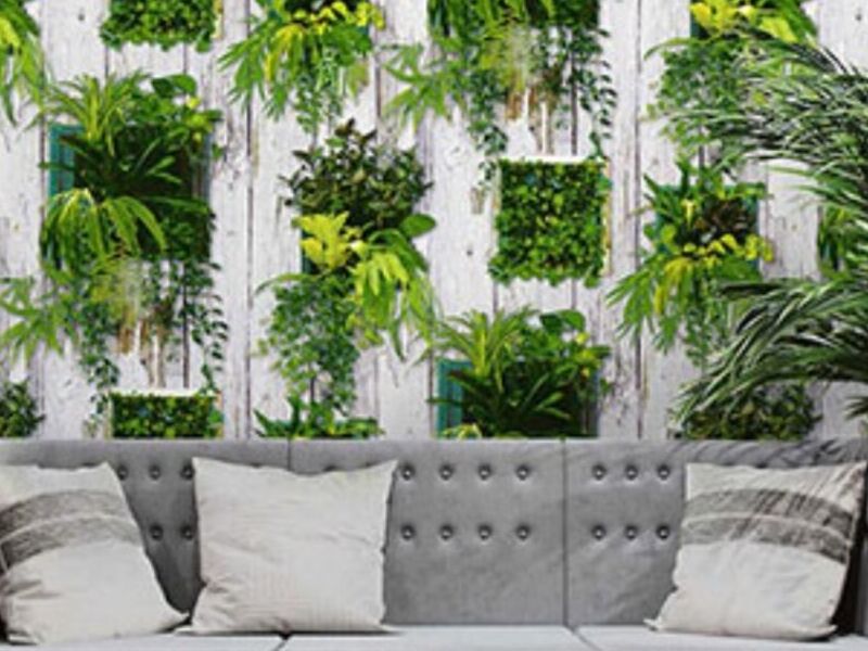 Papel Tapiz Planta Decorativa CDMX 