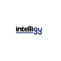 INTELLIGY, S.A. DE C.V.