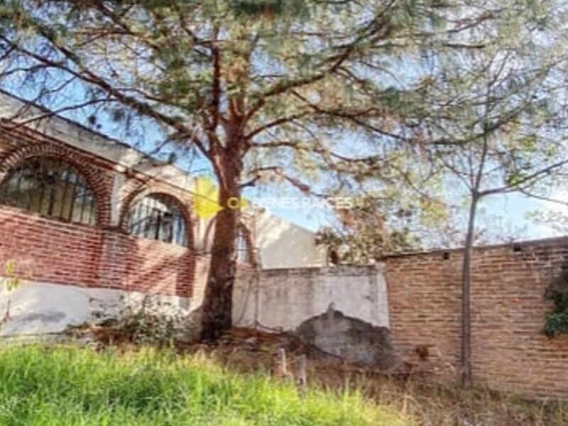 Casa de Campo con amplio terreno Santa Teresa