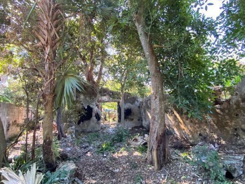 TERRENO CHINA CAMPECHE 