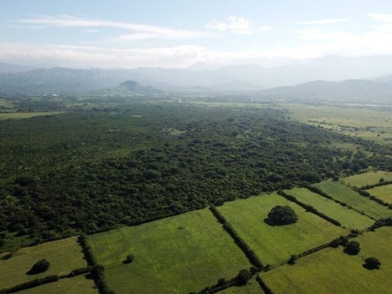 TERRENO ARRIAGA 