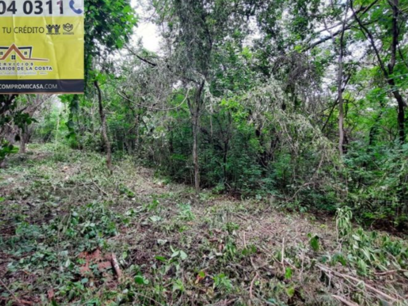 TERRENO EL BRASILAR 