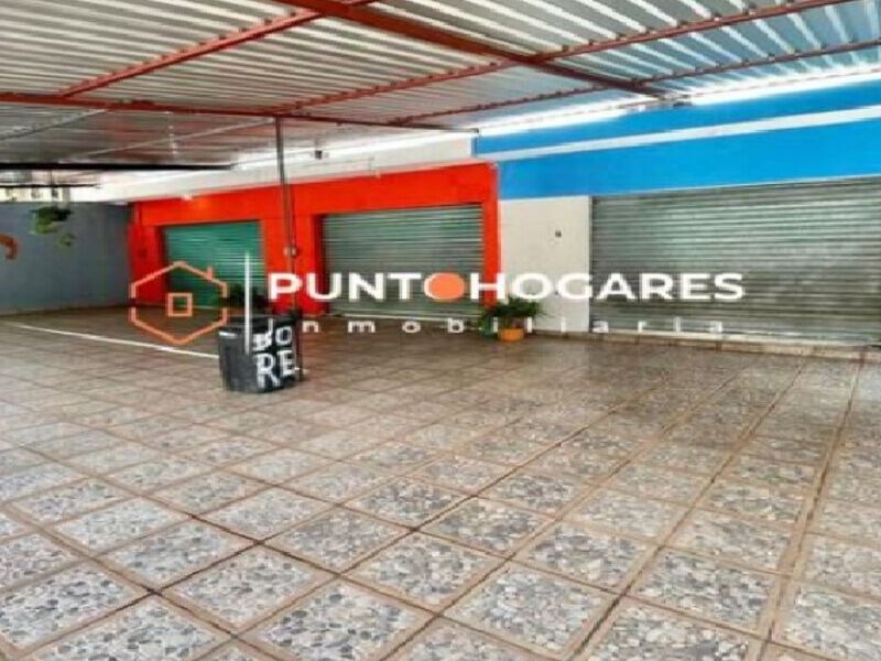  PROPIEDAD CON LOCALES EN MICHOACAN