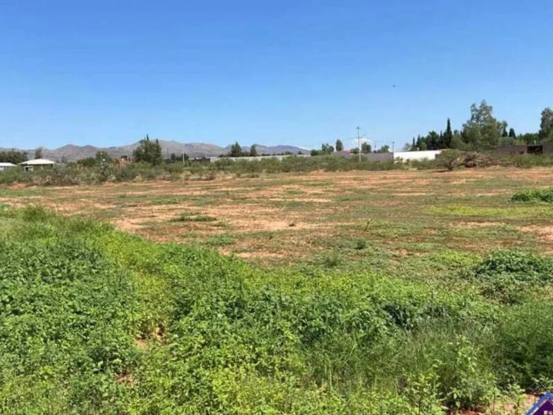 Venta Terreno Tabaloapa Chihuahua
