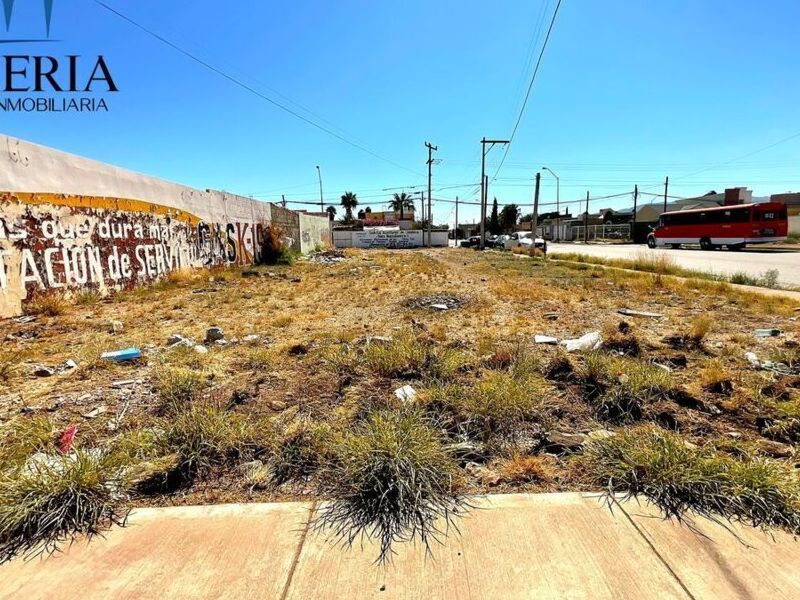Terreno en Avenida Lipizano Chihuahua