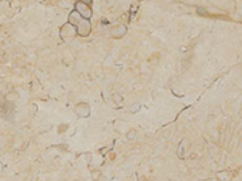 Mármol 1