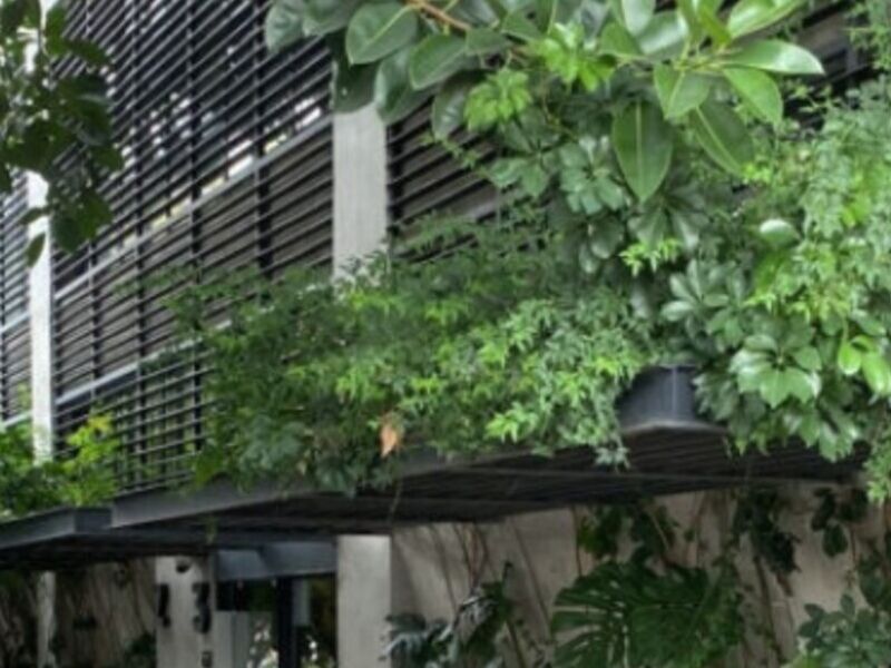 Departamento en renta en colonia Roma Norte