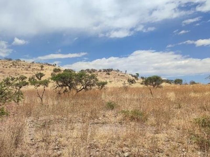 Venta Terreno Carretera Chupaderos Durango